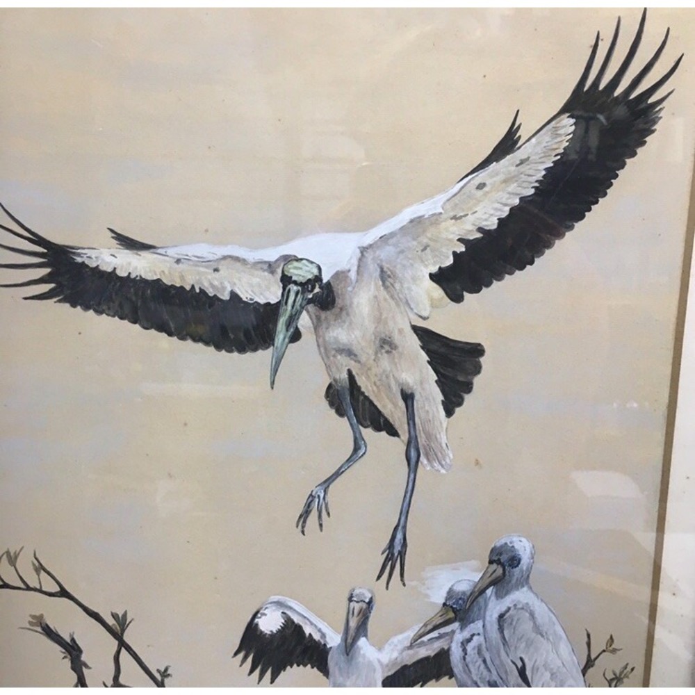 Crane Egret Stork Birds and Storkling Artist Signed Artwork Vintage‎ Framed
